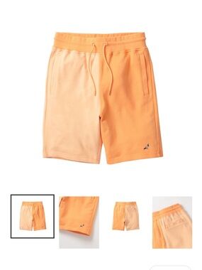 Staple Two-Tone Orange Pigeon Embroidered Men’s Athletic Shorts size medium